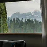 Dachsteinblick *