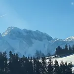Daire Dachsteinblick
